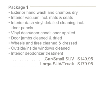 ottawa car truck detailing cleaning polish wax and wash